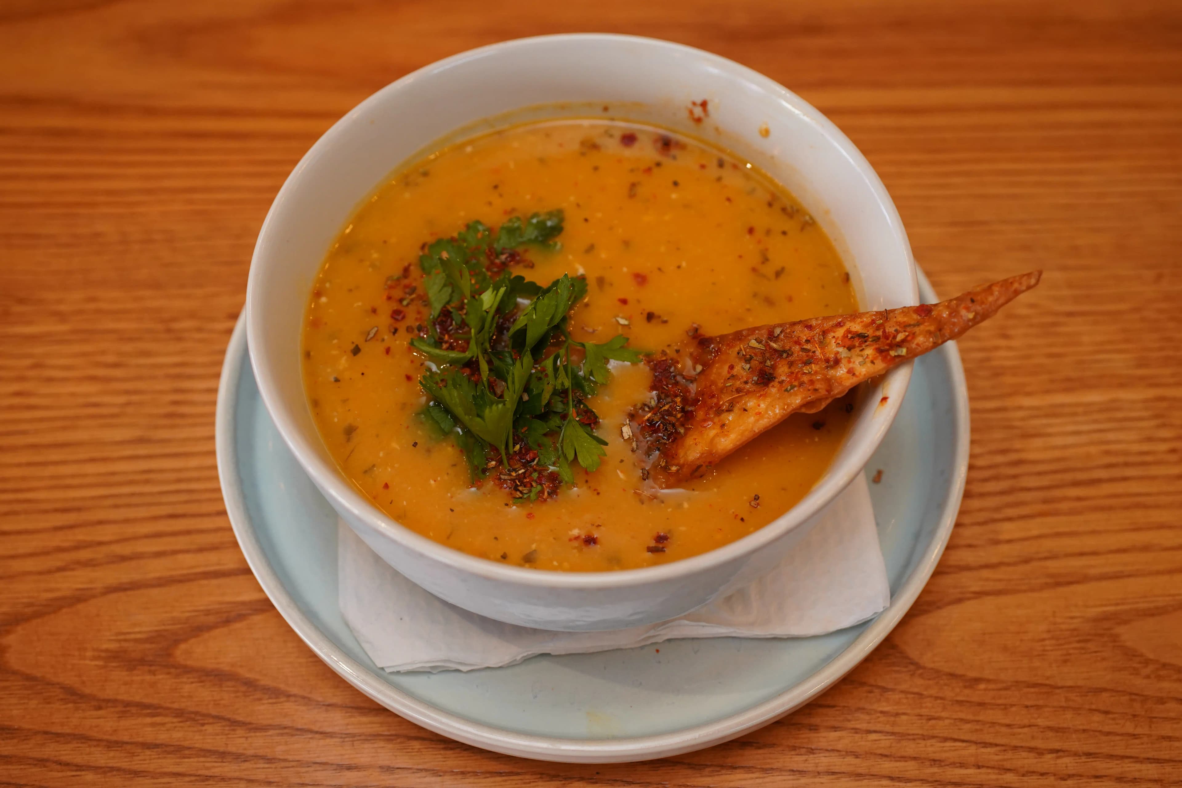 LENTIL SOUP